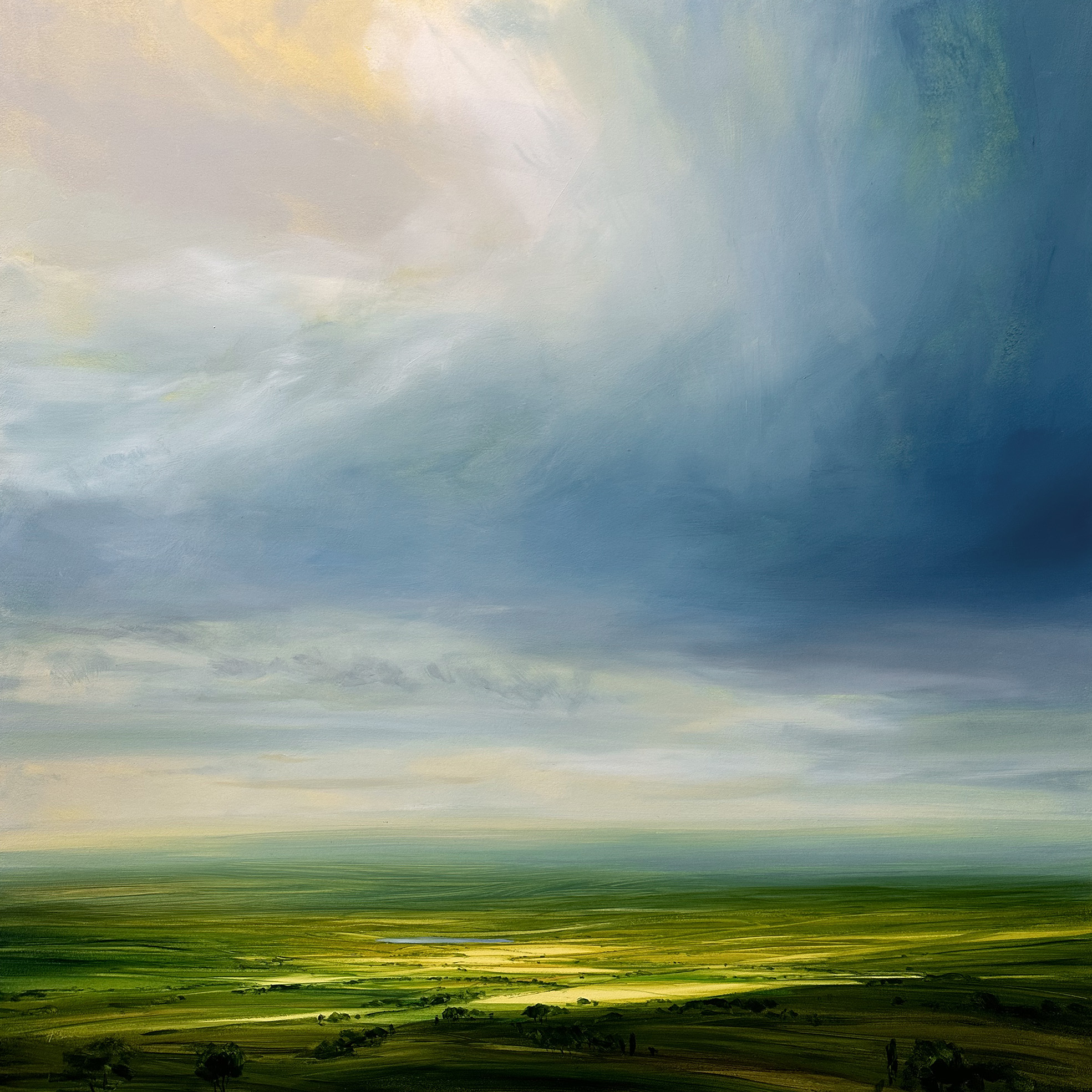 'Translucent Sky' by artist Harry Brioche